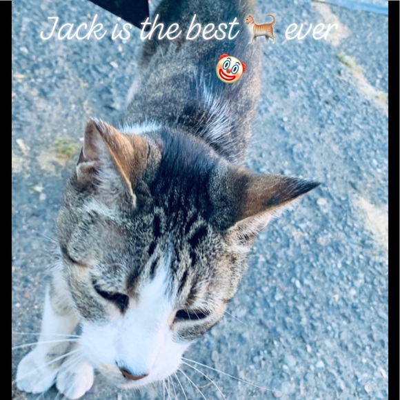 Meet your Posher, Thomas - Picture 4 of 16